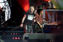 Guns and roses (2).jpg