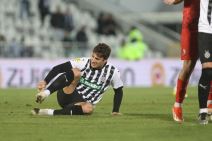 Partizan IMT  (2).JPG