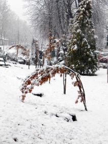 Loznica, sneg  (2).jpg