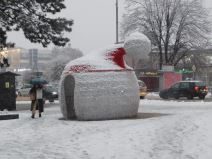 Loznica, sneg  (4).jpg