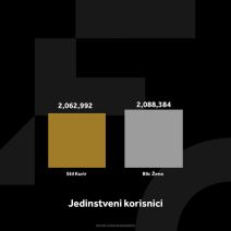 1549090_kurir-stil-grafikoni-021224-4-jedi-nstveni-korisnici_ff copy.jpg