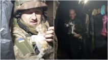 ukrajinski vojnici sa mačkama