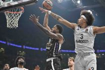 PARIZ - - Partizan  (3).JPG