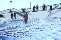 florida neverme (1).jpg