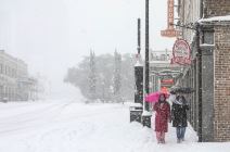 florida neverme (4).jpg