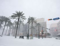 florida neverme (5).jpg