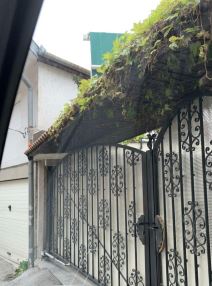 dino merlin kurir.bmp