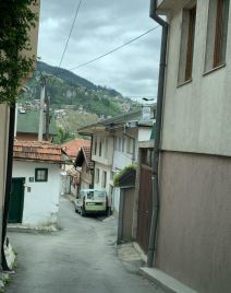 dino merlin kurir2.bmp