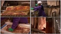slanina
