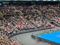 Srbija Danska Dejvis kup dubl (5).jpg