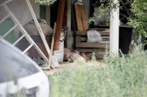 Cecina kuća u Žitorađi (2).jpg