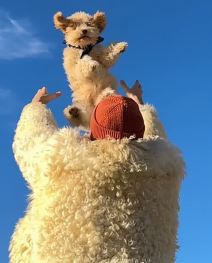 Đorđe Živadinović Grgur  (3).png