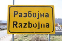 Zoran Radenković (4).jpg