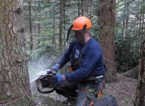 Salko Sarajčić (3).jpg