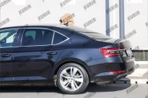 Telo Saše Popovića stiže u Srbiju specijalnim automobilom