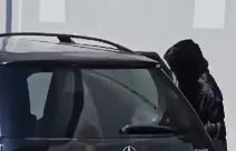 Snaja Saše Popović