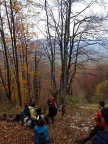 NESTANAK DEČAKA U ZAPLANJU  (3).jpg