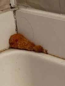 Kupatilo, buđ, pečurke (1).jpg