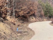 Ahmedin A, selo, Tutin, Esma Tiganj, ubistvo