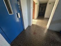 Čačak, ubistvo, Mihailo Baković