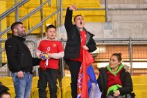 Navijači Srbije (4).jpg