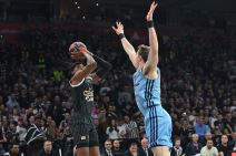 Partizan - Alba (6).jpg