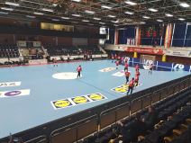 Slovenija - Srbija rukomet (4).jpg