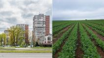 Stan, zemljište, njiva, Novi Beograd, blokovi