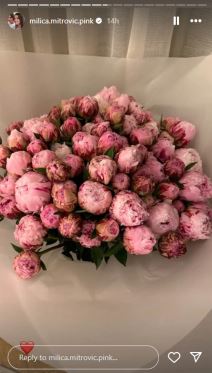 rođendan Milica Mitrović (2).jpg