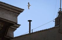 profimedia-0996271168 copy.jpg