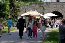 Screenshot_2 copy.jpg