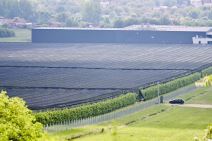 Imanje Ane Ivanović (2).jpg