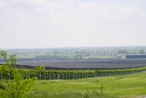 Imanje Ane Ivanović (4).jpg