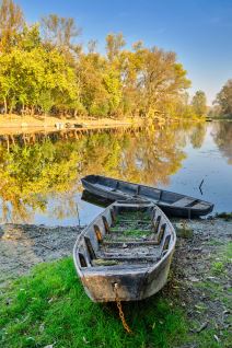 Koviljski rit (5).jpg