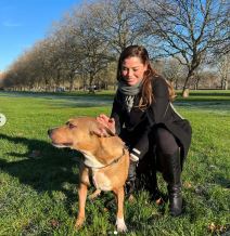 Luiz Glover Plejboj zečica 3.jpg