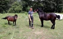 Admir Omerčević (3).jpg