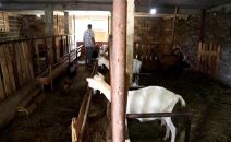 Admir Omerčević (4).jpg