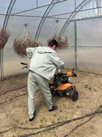 Branko Babić sestrić