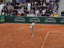 Laslo Ðere protiv De Minora 2.jpg