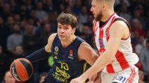 Tarik Biberović na Crvena zvezda Fenerbahče