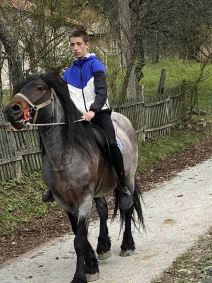 ubistvo konja na zlatiboru (5).jpg