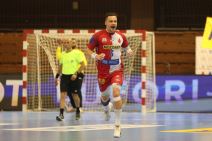 Vojvodina Partizan rukomet (4).JPG