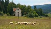 Rudno Kraljevo