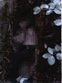 Fotografije pokojnog Ljubomira Lainovića (3).jpg