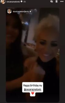 Dusica Jakovljevic Ceca.png