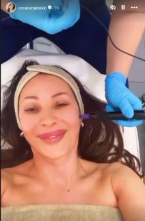 Ceca Ražnatović 3.jpg