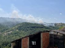 Veliki požar kod Čačka (2).jpg