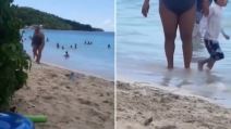 plaža štikle