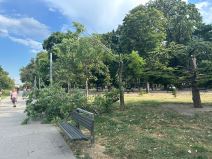 Nevreme u Beogradu (2).jpg