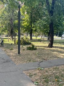 Nevreme u Beogradu (3).jpg